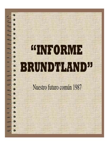 Informe Brundtland