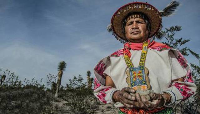 Los huicholes