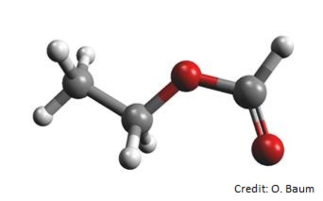 The first organic molecules