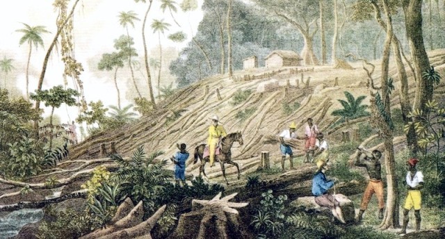 Portugal comença la col·lonització a Brazil