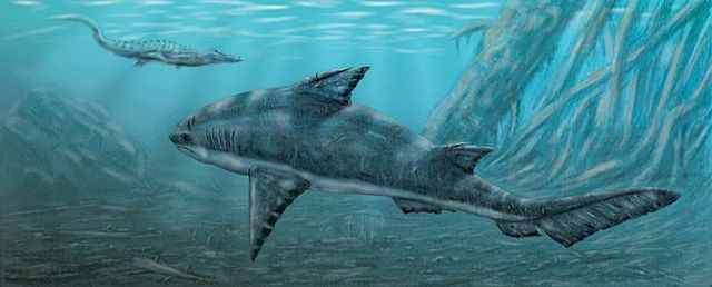 Jurassic Era (200 million BCE)