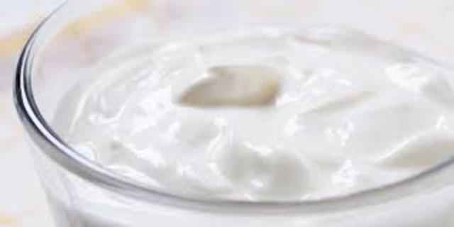 Yogurt and cheese