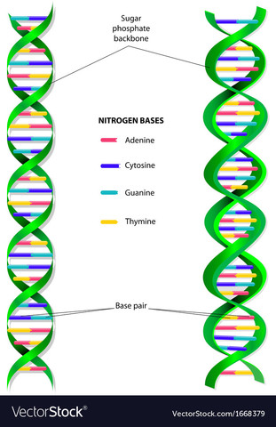 Specific Mutations