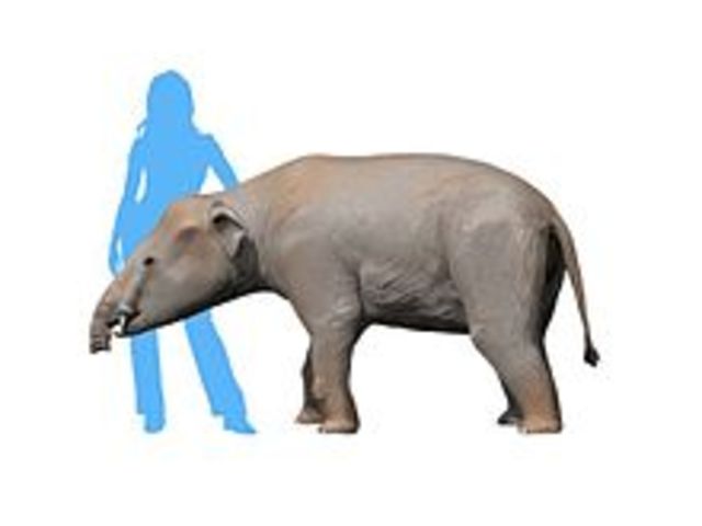 Paleomastodon