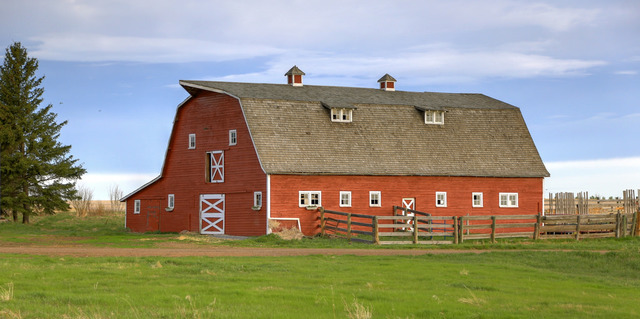 Farmer and his Wife help Misha