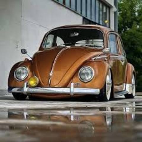 LA HISTORIA DE LOS VCHOS