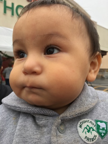 The Day My Little Brother Was Born