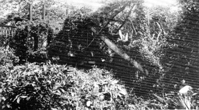 Cyane anclo en san blas.