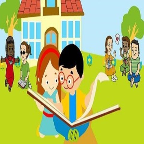 Perspectiva organizativa