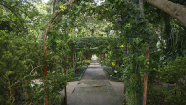 Visita al Jardín Botanico