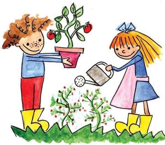 PLAN DE RIEGO DE ÁRBOLES