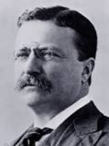 theodore roosevelt