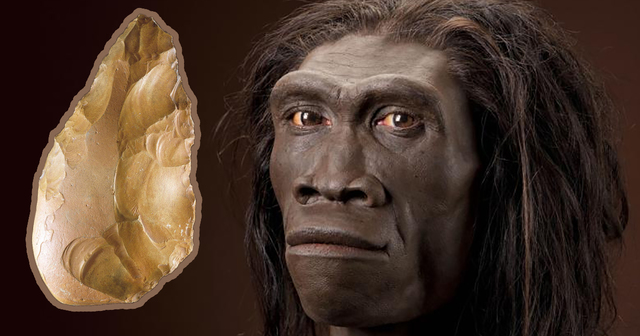 Primera espècie humana