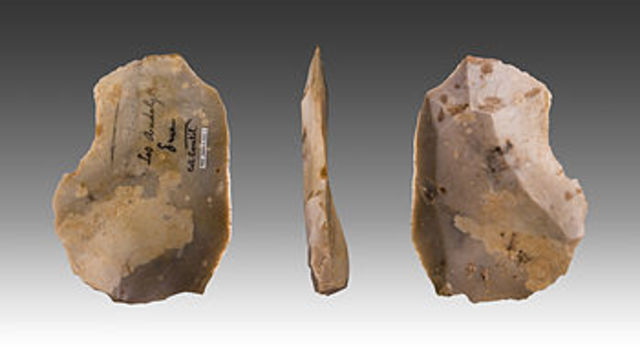 Paleolítico Medio-100.000 A.C-35.000 A.C