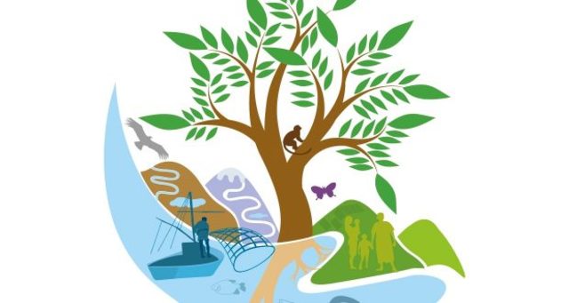 CONVENIO DE BIODIVERSIDAD