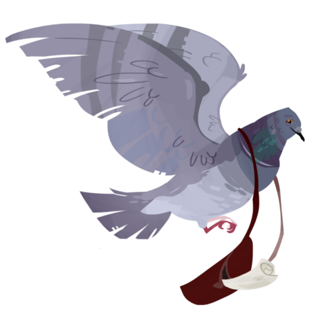 Carrier pigeons