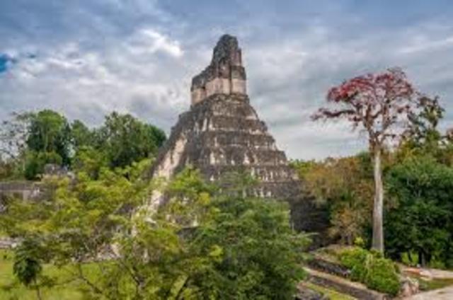 Tikál becomes the first great city of the Maya