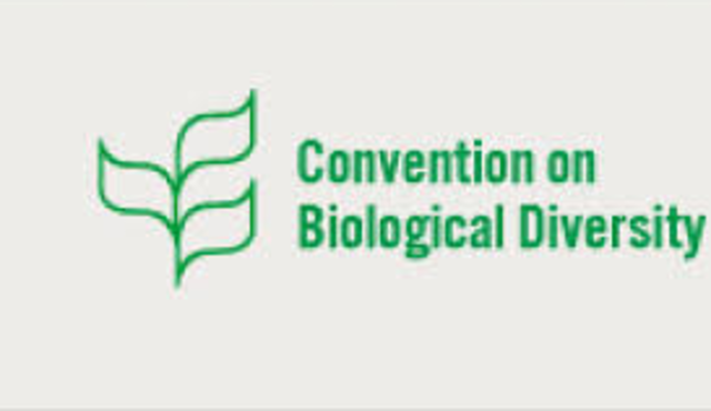 Convenio de Diversidad Biológica