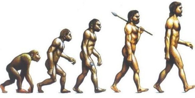 EVOLUCIÓN CRONOLÓGICA DEL  CONCEPTO DE CALIDAD