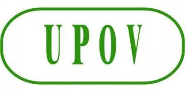 Unión Internacional para la Protección de las Obtenciones Vegetales-UPOV