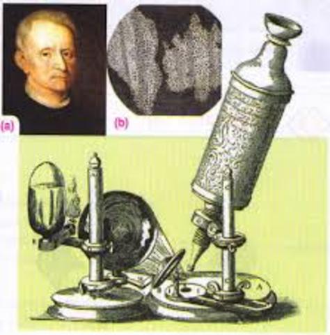 ROBERT HOOKE SE LE ATRIBUYE EL NOMBRE DE LA CÉLULA