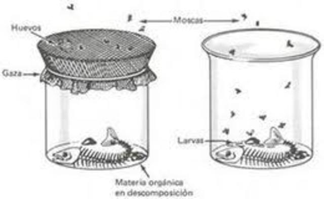 FRANNCESCO REDI DEMOSTRÓ LA HIPÓTESIS DE LA GENERACIÓN ESPONTANEA