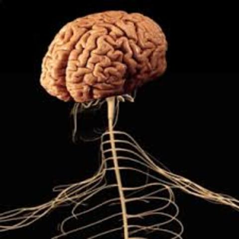 II. DIFERENCIACIÓN DE LOS FENÓMENOS PSÍQUICOS