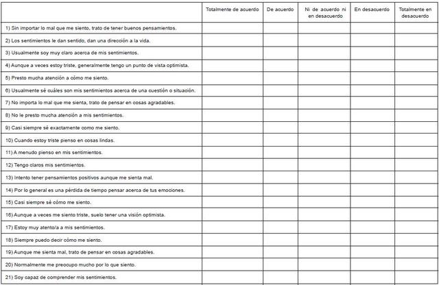Salovey, Mayer, Goldman, Turvey y Palfai