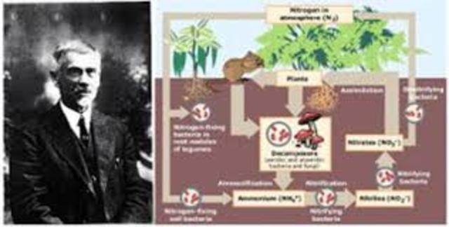 Serguéi Vinogradski