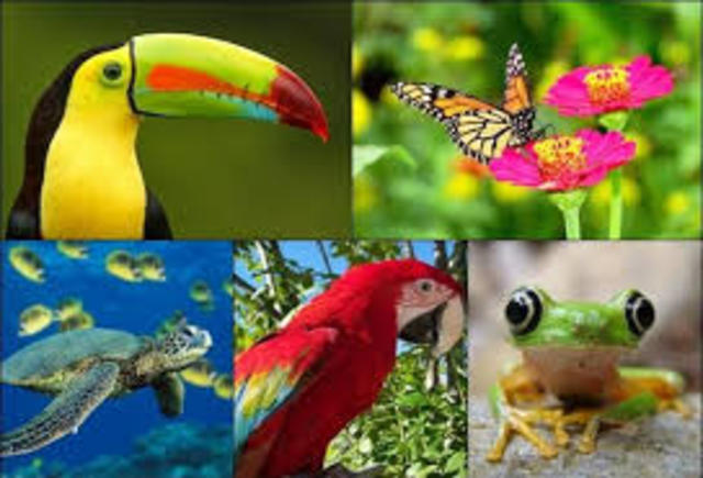 Convenio de la diversidad biológica