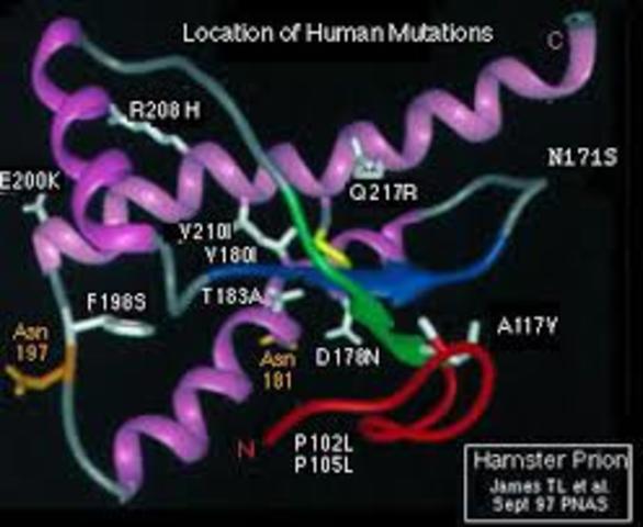 Prusiner Determina los Priones