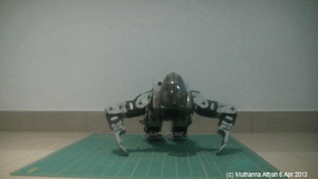 HUMANOIDES COMPLEJOS