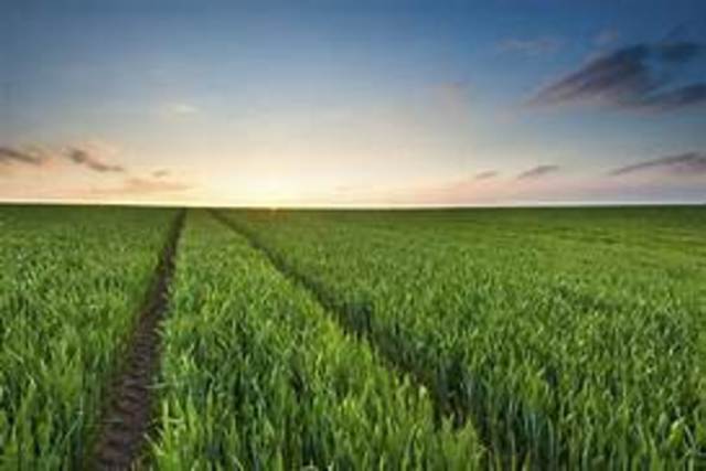 Begin van de landbouw