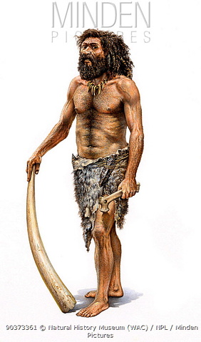 El homo sapiens sapiens