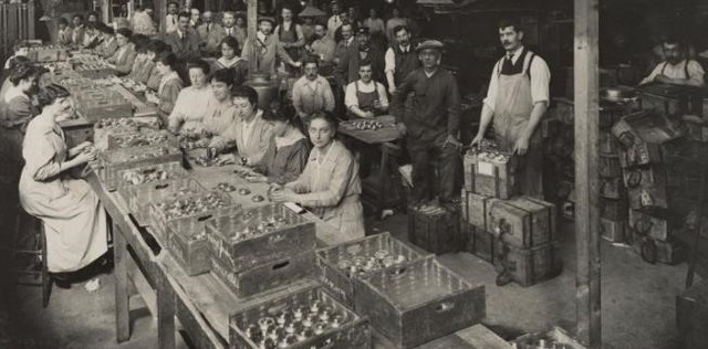 inicia la primera etapa del desarrollo de la calidad, conocida como control de calidad por inspección.