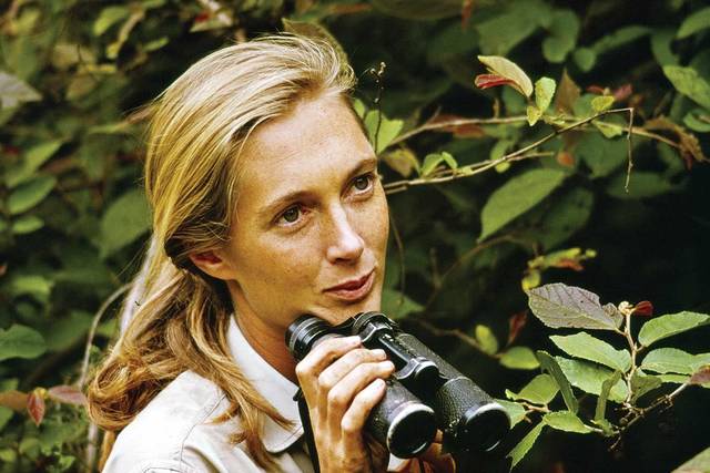 Jane Goodall