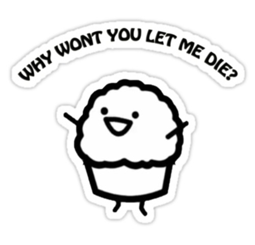 Sus primeras creaciones