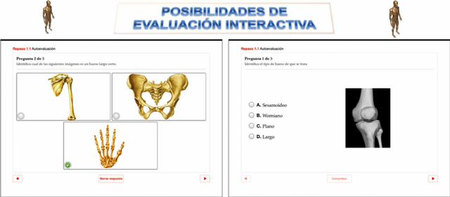 Evaluaciones interactivas