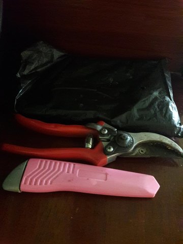 Materiales para realizar los acodos aereos