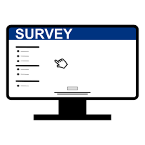 Online Surveys and Quizzes