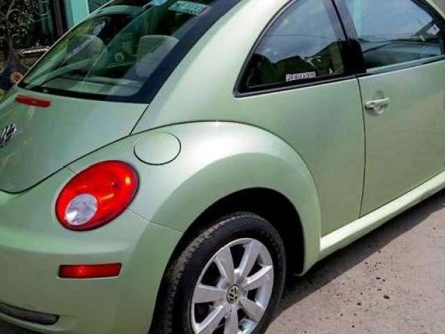 BEETLE  2010