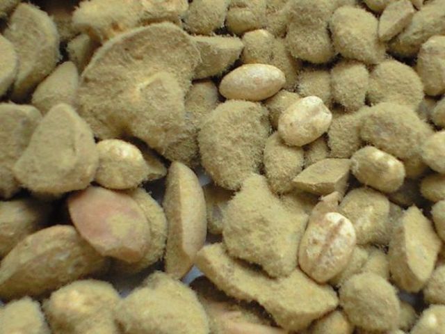 Moldy Soybean Curds/Antibiotic