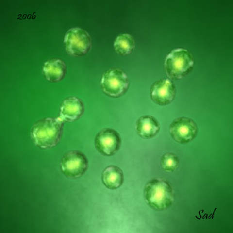 The Stop of Duplication of Bacteria/ The first Antibiotic: Penicillin