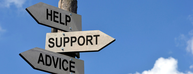 Make a guidance appointment to discuss future options (schools, courses, jobs)