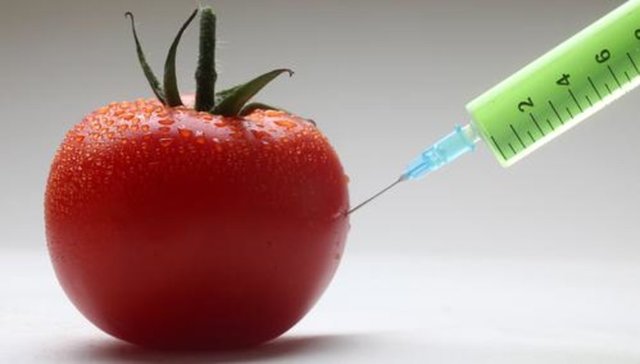 The First GM Food is Approved by the FDA