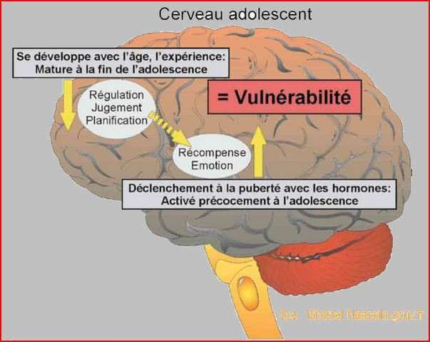 De l'âge de 12 à 25 ans