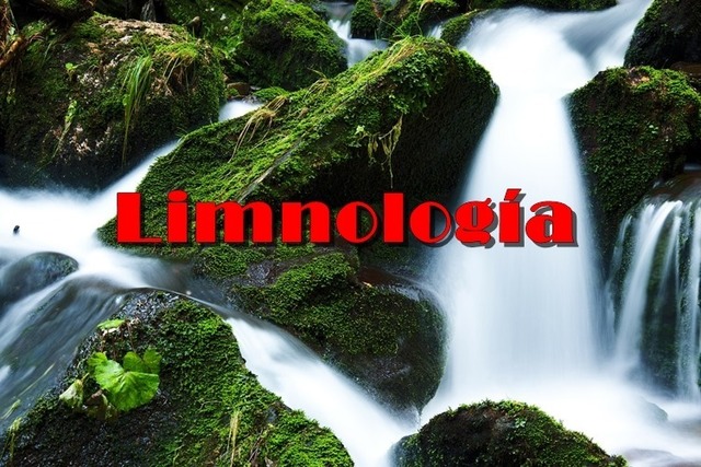 Francois Alphonse Fore