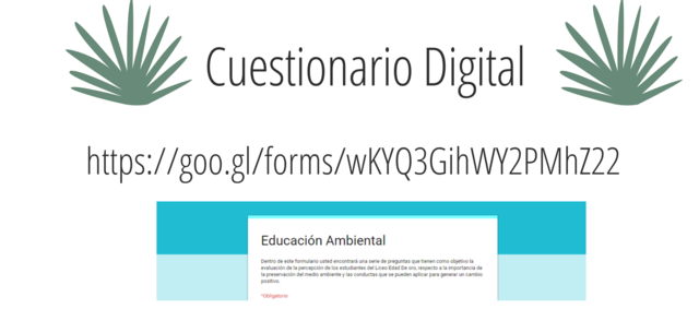 Elaboración de un cuestionario digital
