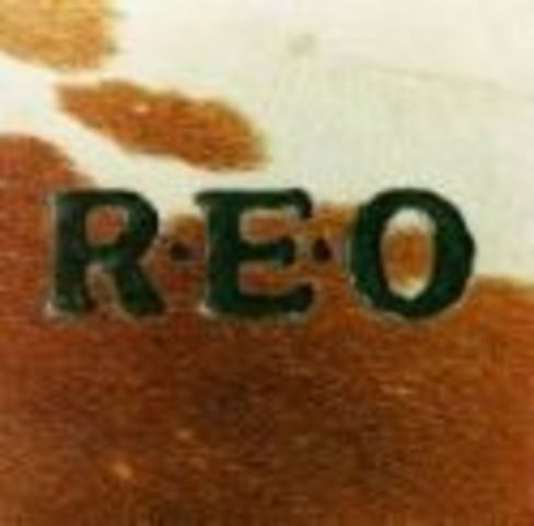 The Site building begins!