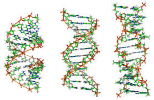 Mutations in DNA molecule